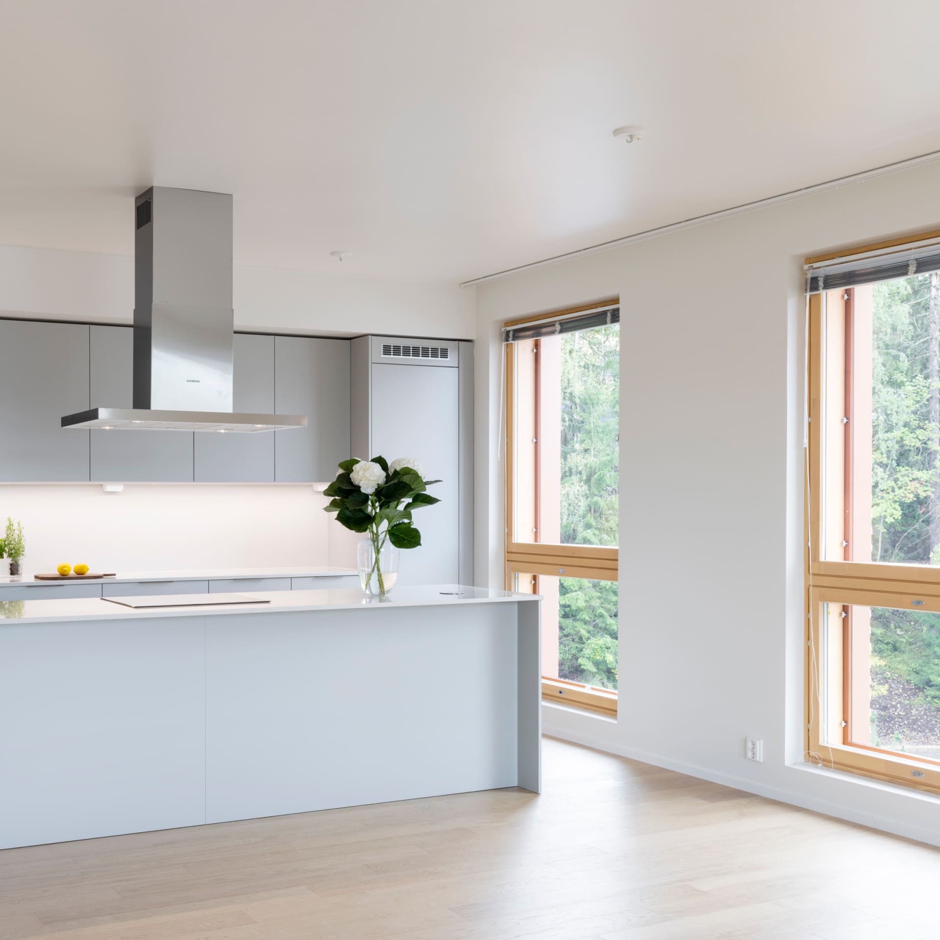 Vaalea keittiö vehrein näkymin