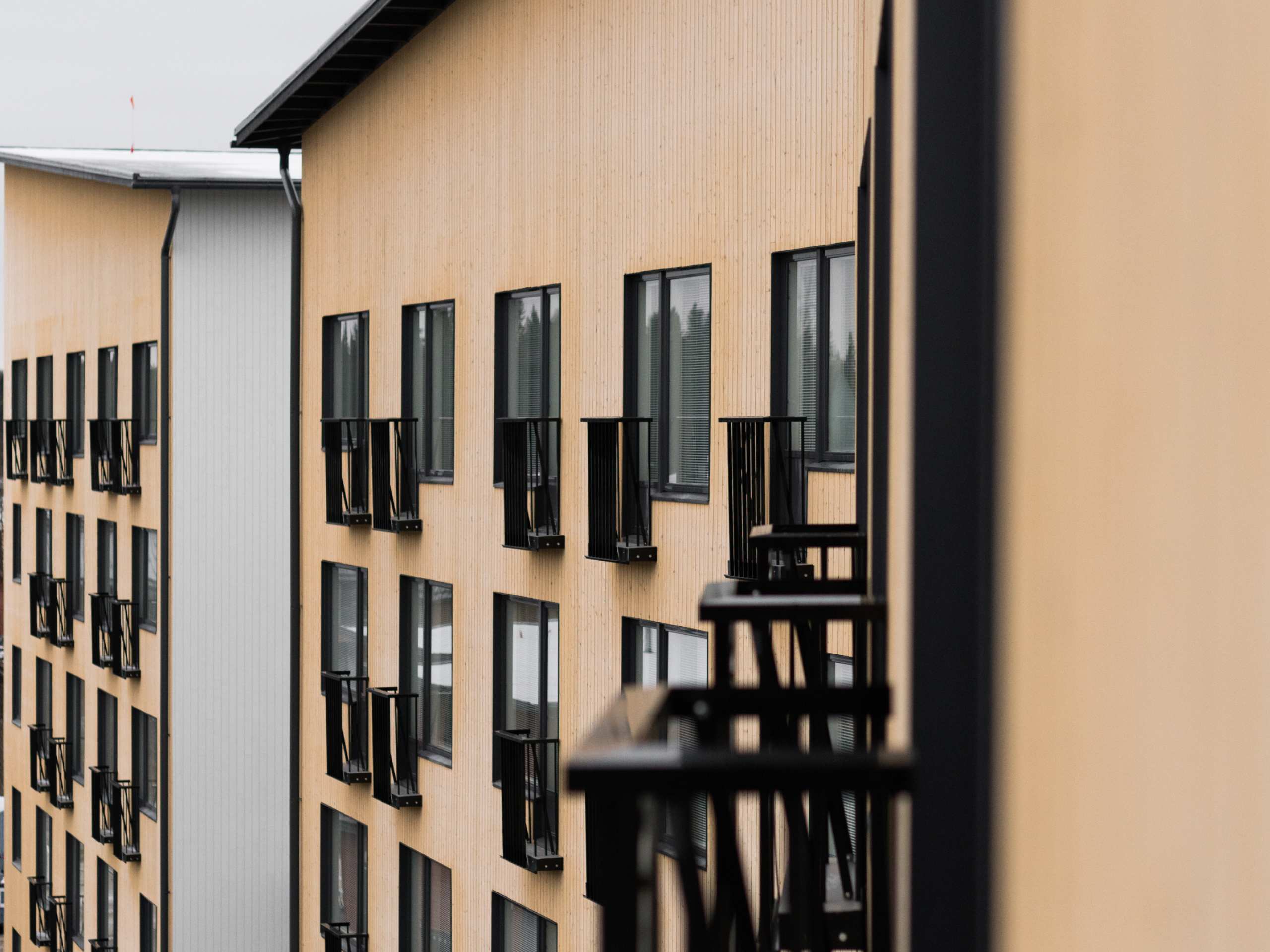 Wooden outdoor structure of Vuoreksen Kosmos