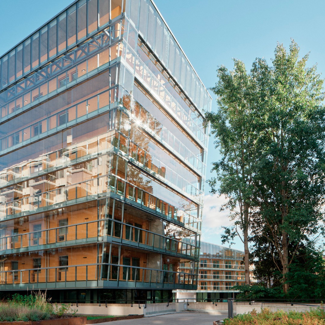 Meanderin piha kesäyössä